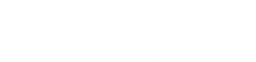 По соображениям совести