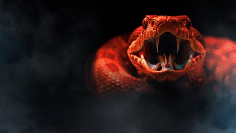 One Big Snake