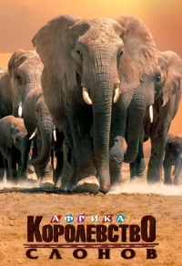 Африка - королевство слонов